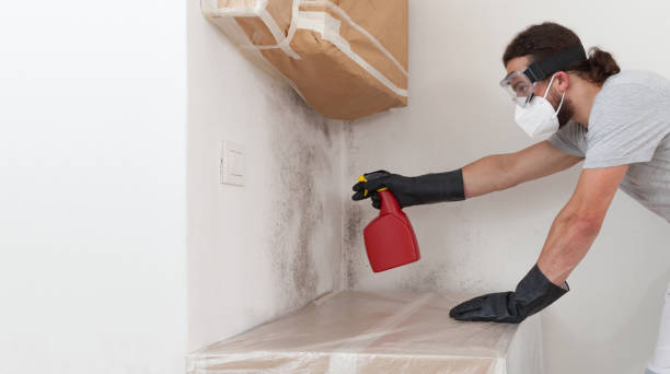 Professional Attic Mold Remediation technician working in Conklin, MI