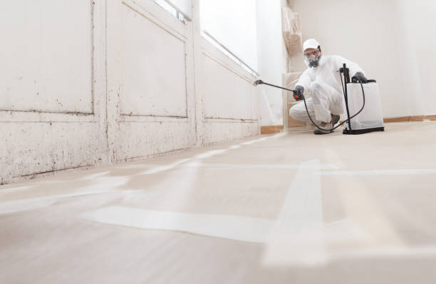 24/7 Emergency Attic Mold Remediation experts in Conklin, MI