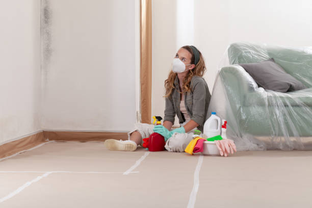 Reliable Attic Mold Remediation contractor in Conklin, MI by 24 Hour Mold Removal